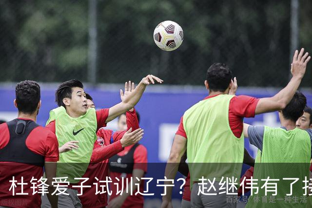杜锋爱子试训辽宁？赵继伟有了接班人乐坏辽蜜 结果亲妈辟谣了